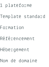 1 plateforme Template standard Formation Référencement Hébergement Nom de domaine